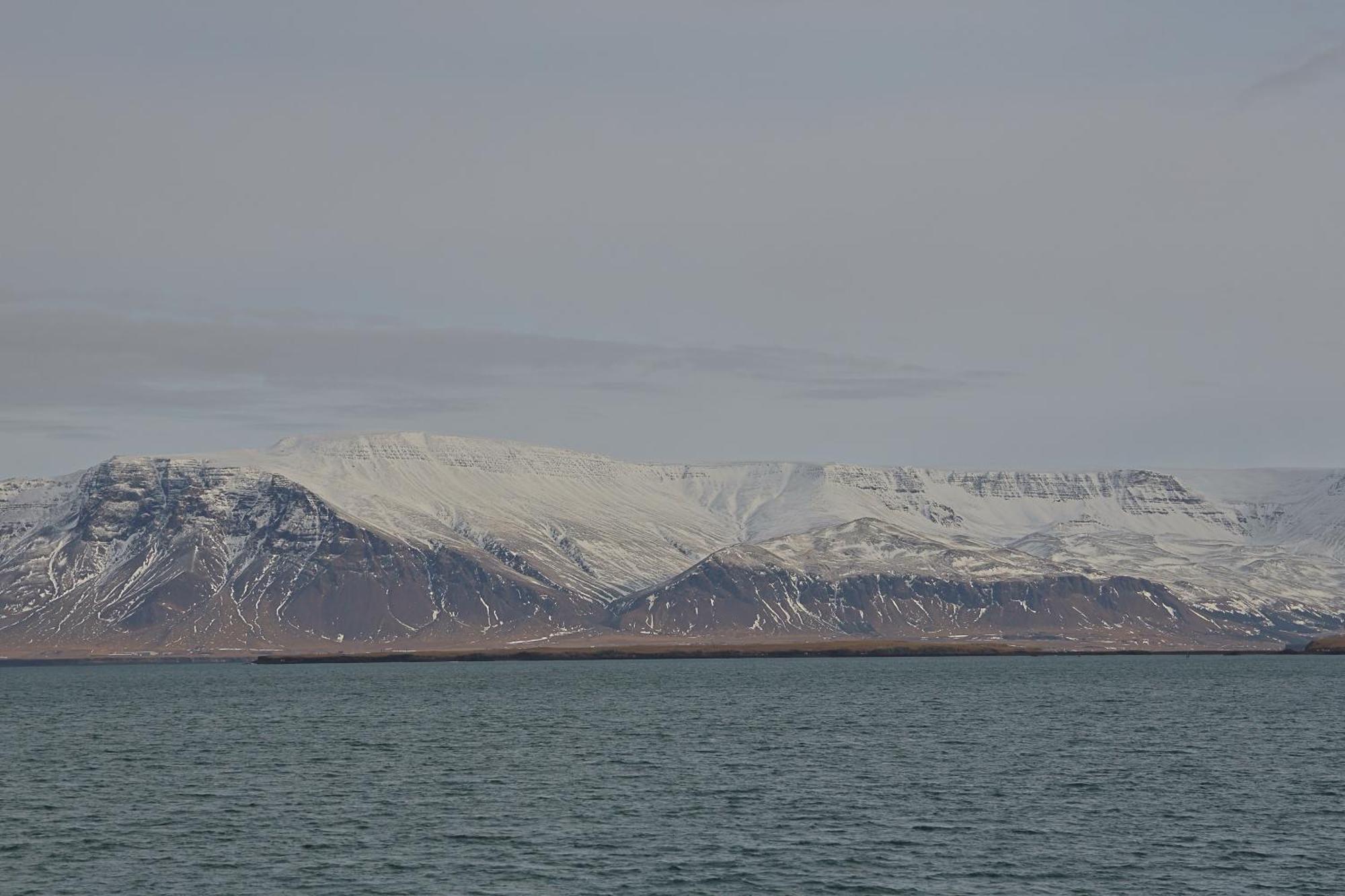 Lagertha'S Apartment,Downtown Reykjavík Dış mekan fotoğraf